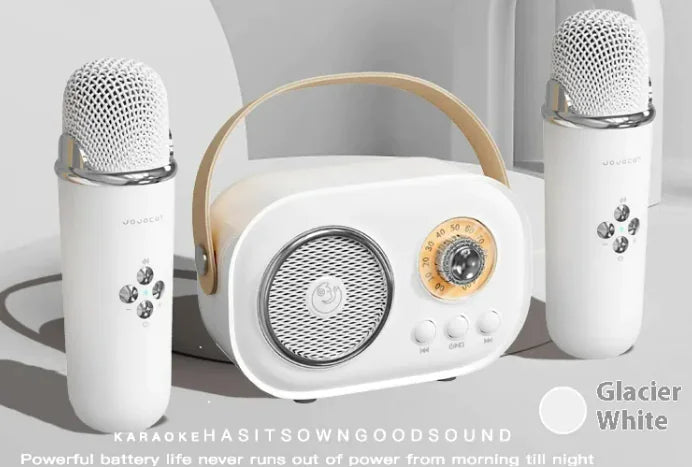 Portable Audio