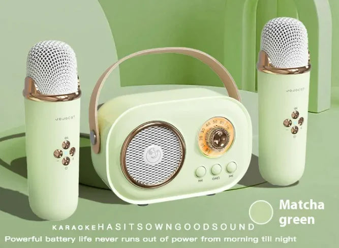 Portable Audio
