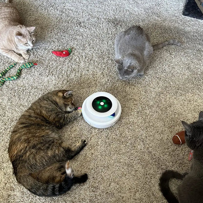 Ball Toy For Pets