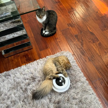 Ball Toy For Pets
